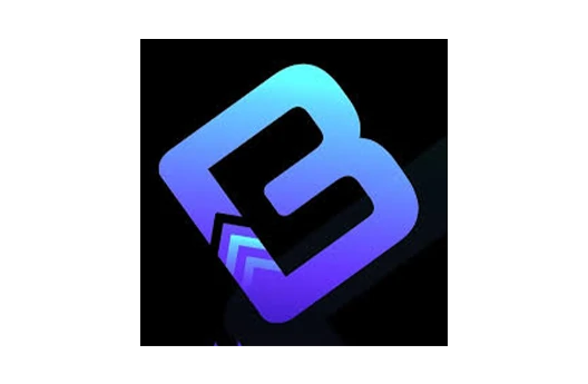 Company 8